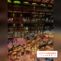 Grande Galerie de l'évolution- visuels 2024