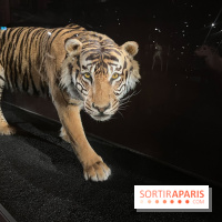 Grande Galerie de l'évolution- visuels 2024 - image00005