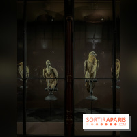 Grande Galerie de l'évolution- visuels 2024