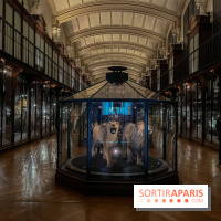 Grande Galerie de l'évolution- visuels 2024 - image00013