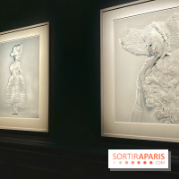 Paolo Roversi - IMG 9450