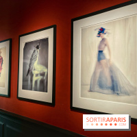 Paolo Roversi - IMG 9489