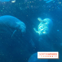 Zoo de Vincennes, Parc zoologique 2024 - nos photos - image00044