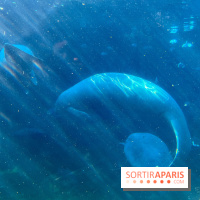 Zoo de Vincennes, Parc zoologique 2024 - nos photos - image00027