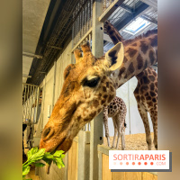 Zoo de Vincennes, Parc zoologique 2024 - nos photos - image00012