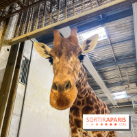 Zoo de Vincennes, Parc zoologique 2024 - nos photos - image00001