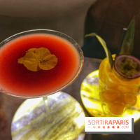 404 not found - IMG 8857