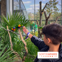 Visuels enfants, attractions, parc, Jardin d'Acclimatation, animaux, zoo - image00038