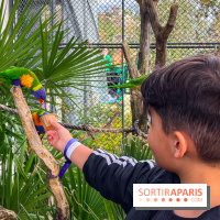 Visuels enfants, attractions, parc, Jardin d'Acclimatation, animaux, zoo - image00040