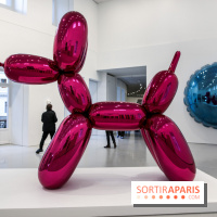 Le monde comme il va, nos photos de l'expo - IMG 3090