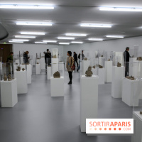 Le monde comme il va, nos photos de l'expo - IMG 3127 2