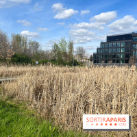 Parc des Impressionnistes à Clichy - nos photos - image00007