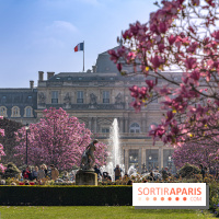 Les magnolias du Jardin du Palais Royal  - printemps - visuel Paris