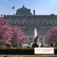 Les magnolias du Jardin du Palais Royal  - printemps - visuel Paris