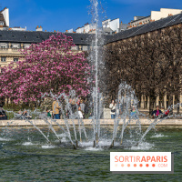 Les magnolias du Jardin du Palais Royal  - printemps - visuel Paris - fontaine - chaleur - beau temps