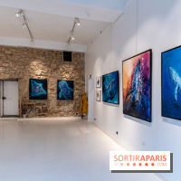 Exposition street-art Sax à Paris : A travers l'océan -  A7C9101