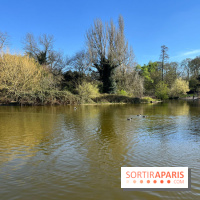 Lac de Saint-Mandé - nos photos - WhatsApp 03 22 à 16.21.39 4b32697e