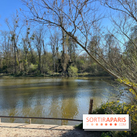 Lac de Saint-Mandé - nos photos - WhatsApp Image 2024 03 22 à 16.12.09 927d444d