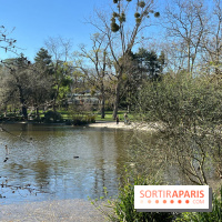 Lac de Saint-Mandé - nos photos - WhatsApp Image 2024 03 22 à 16.15.30 6feb9081