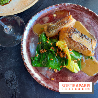 LAVA - Lieu jaune au miso