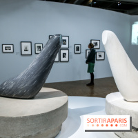 Brancusi au Centre Pompidou, nos photos