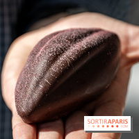 Les pâtisseries chocolatés de Pâques de Bo & Mie 2024 -  A7C9731