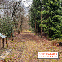 Arbor&Sens, l'Arboretum de Franchard en forêt de Fontainebleau - les photos - IMG 7940