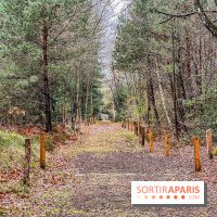 Arbor&Sens, l'Arboretum de Franchard en forêt de Fontainebleau - les photos - IMG 7938