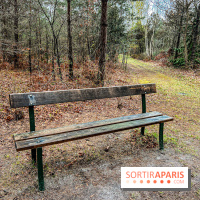 Arbor&Sens, l'Arboretum de Franchard en forêt de Fontainebleau - les photos - IMG 7934