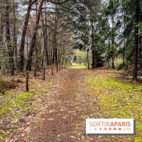 Arbor&Sens, l'Arboretum de Franchard en forêt de Fontainebleau - les photos - IMG 7932