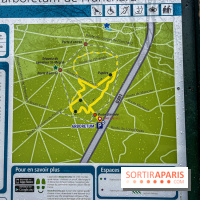 Arbor&Sens, l'Arboretum de Franchard en forêt de Fontainebleau - les photos - IMG 7899