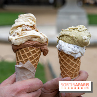 Brigat' Gelato - la glacerie Place des Vosges -  A7C9929