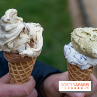 Brigat' Gelato - la glacerie Place des Vosges -  A7C9934