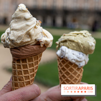 Brigat' Gelato - la glacerie Place des Vosges -  A7C9935