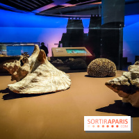 Mexica, des dons et des dieux au Templo Major : l'exposition du musée du Quai Branly se dévoile - IMG20240402105302