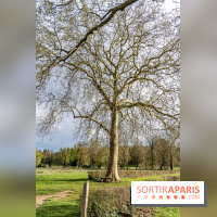 Le Parc du Château de Plaisir (78) - photos