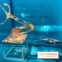 L’art de James Cameron - IMG 9900