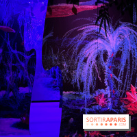 L’art de James Cameron - IMG 9936