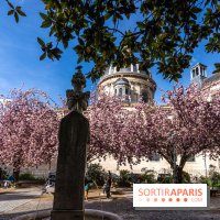 Square Gabriel Pierné à Paris - cerisiers en fleurs -  A7C0343