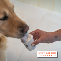 Seven Heaven, le coffee shop dog's friendly et kid's friendly de Paris 11e - River