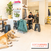 Seven Heaven, le coffee shop dog's friendly et kid's friendly de Paris 11e