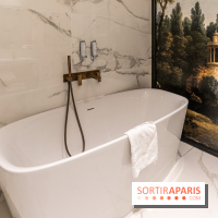 L'Aigle Noir Hôtel à Fontainebleau -  A7C9751