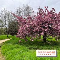 Arboretum de Paris - nos photos
