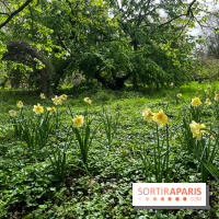 Arboretum de Paris - nos photos