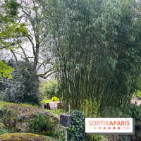 Jardin de l'Ecole du Breuil - nos photos