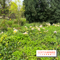 Jardin de l'Ecole du Breuil - nos photos