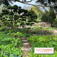 Jardin de l'Ecole du Breuil - nos photos