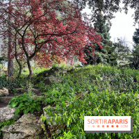 Jardin de l'Ecole du Breuil - nos photos