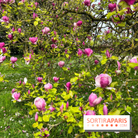 Jardin de l'Ecole du Breuil - nos photos