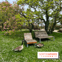 Jardin de l'Ecole du Breuil - nos photos